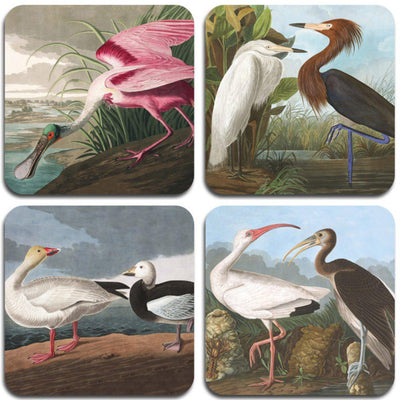 Audubon Birds Coasters - Set 2 - club matters