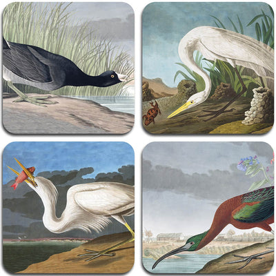 Audubon Birds Coasters - Set 1 - club matters