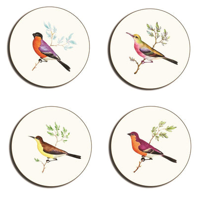 Exotic Birds Coasters - club matters