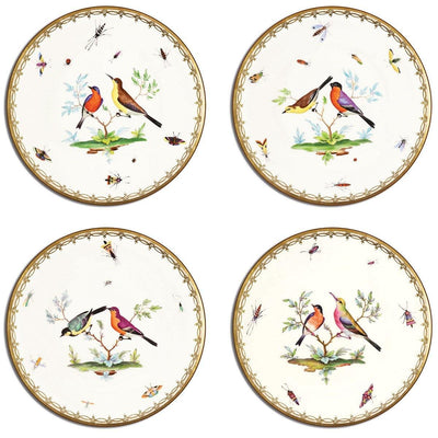 Exotic Birds Table Mats - club matters
