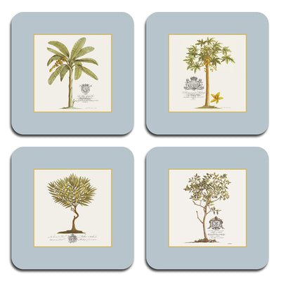 club matters - island palms - coasters